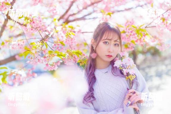 月城委员会 月城委员会精选:灰丝与柔风,一种莫名的不真实感随之而来,欸,这不是电影里的场景吗?